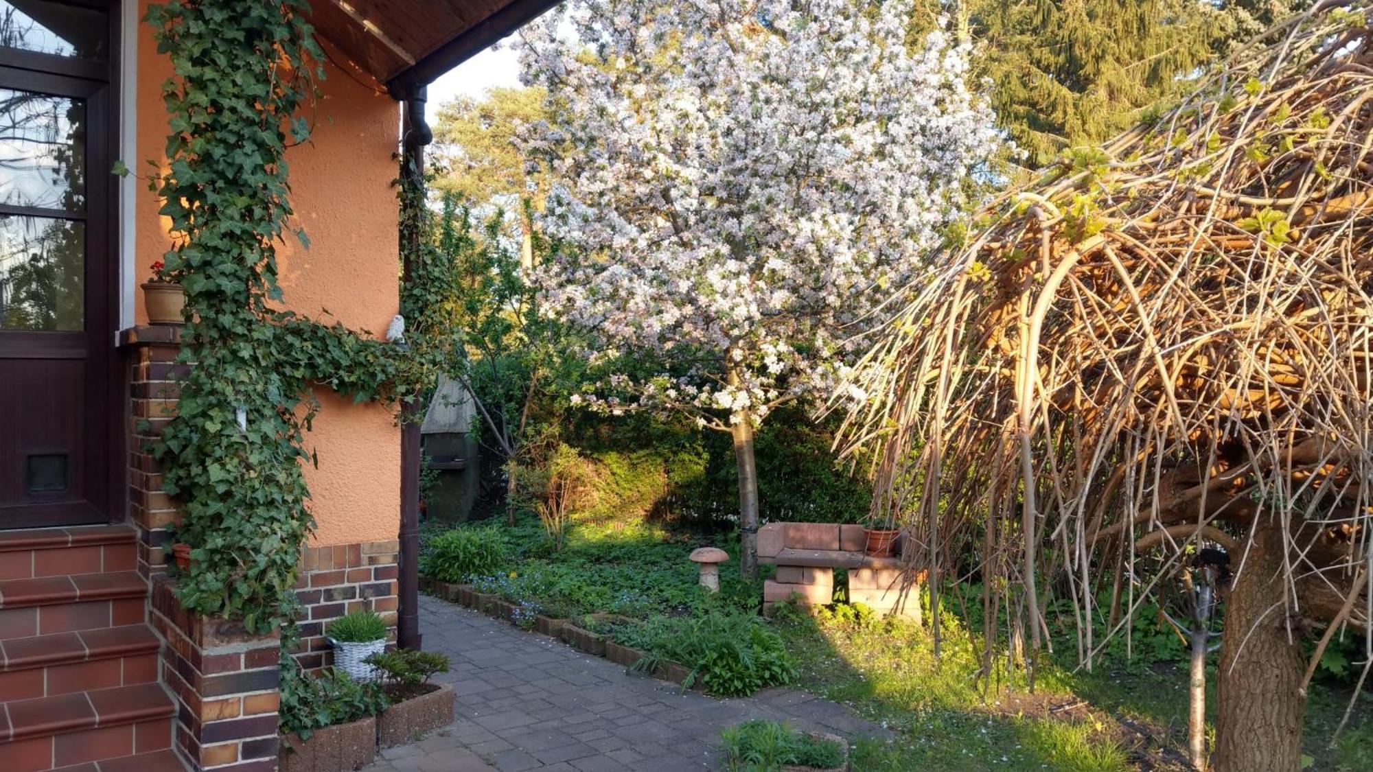 Ferienwohnung Luise, Gemuetlich, Freundlich Und Ganz Nah An Berlin Oranienburg Ngoại thất bức ảnh
